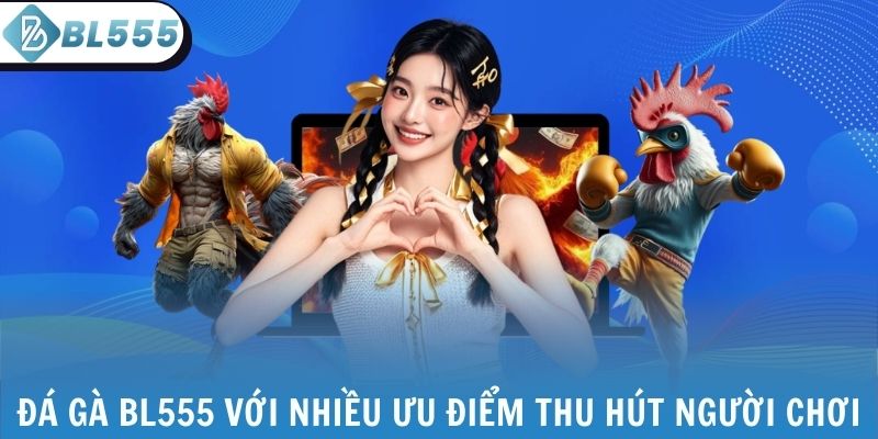Đá gà BL555 với nhiều ưu điểm thu hút người chơi